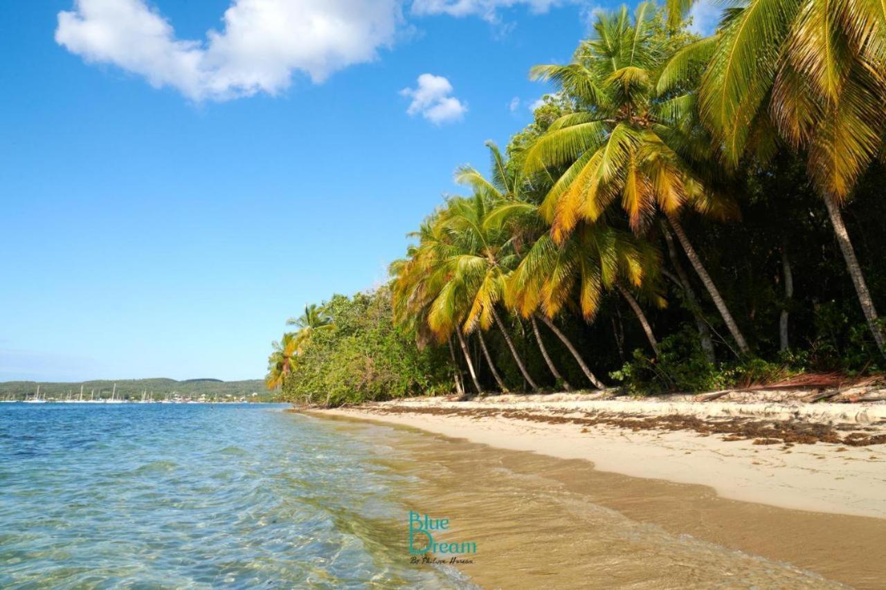 Toumalacai Appart 238 Folle Anse 外观 照片